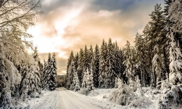 W uścisku zimy. Intensywne opady śniegu. Zerwane linie energetyczne