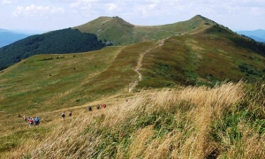 Ludzkie szczątki przy szlaku na Połoninę Wetlińską