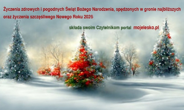 Świąteczny czas radości...