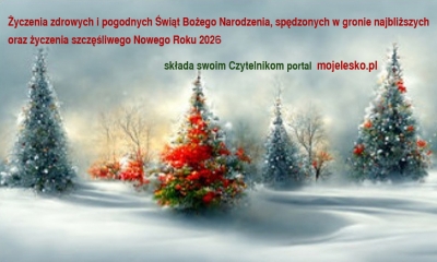 Świąteczny czas radości...