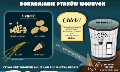 Kiedy mr&oacute;z i śnieg - dokarmiajmy ptaki, ale r&oacute;bmy to   dobrze!