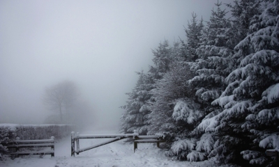 Uwaga - będzie sypało i wiało! Ostrzeżenie meteo