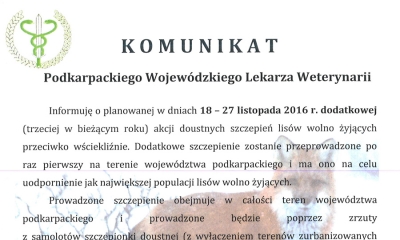Uwaga - kolejna akcja rozrzucania szczepionek dla lis&oacute;w