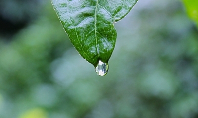 Dzień w deszczu... Ostrzeżenie meteo