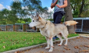Maja potrzebuje wsparcia. Apel Wesołego Kundelka