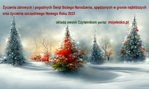 Nadszedł świąteczny czas...