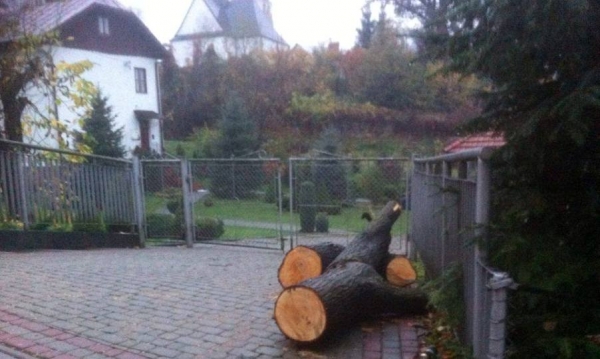Drzewa - niepotrzebny "kłopot"? Znowu wycinka w centrum Leska