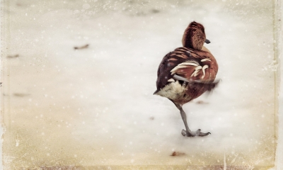 Ostrzeżenie meteo - będzie deszcz i ślisko na drogach