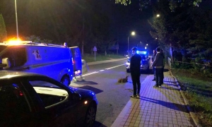 Kolejna potrącona sarna na ul. Unii Brzeskiej. Kierowcy - noga z gazu!