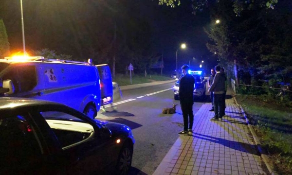 Kolejna potrącona sarna na ul. Unii Brzeskiej. Kierowcy - noga z gazu!