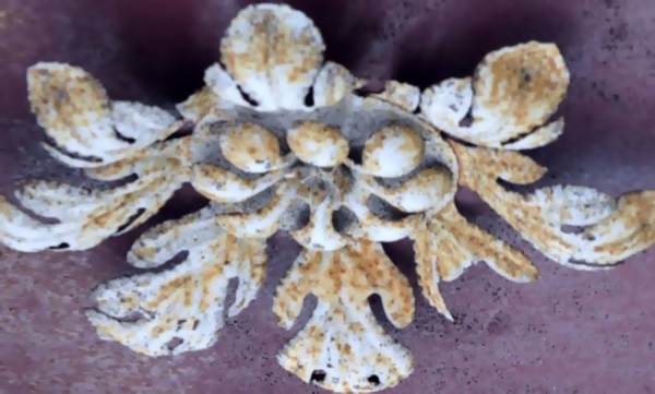 Znacie Lesko? Gdzie to widzieliście? Zagadka foto