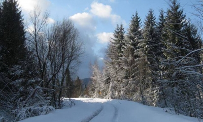 Poszukiwani są statyści i dublerzy do filmu "Wielkie Zimno"
