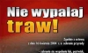 Pamiętajmy - obowiązuje zakaz wypalania traw!