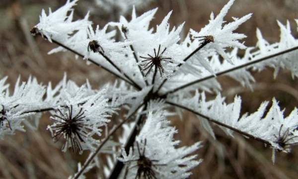 W mroźnych okowach... Ostrzeżenie meteo