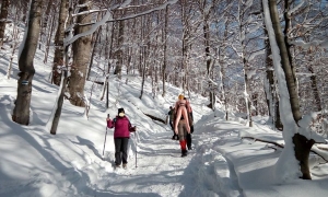 GOPR Bieszczady przypomina zasady bezpieczeństwa w g&oacute;rach   :)
