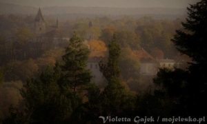 "Leśne fotografie&rdquo; - zaproszenie do udziału w konkursie