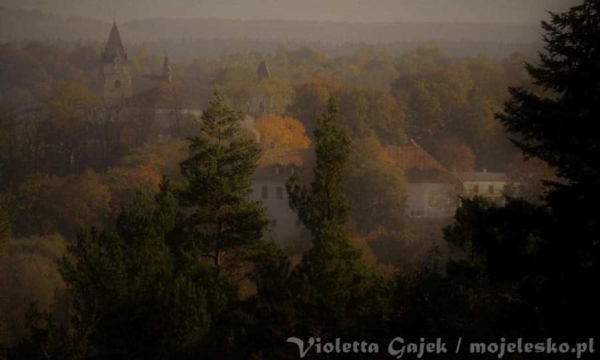 "Leśne fotografie&rdquo; - zaproszenie do udziału w konkursie