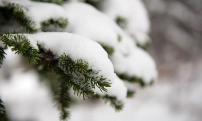 Ostrzeżenie meteo - intensywne opady śniegu