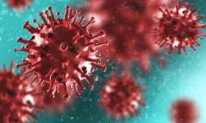 Seniorzy z gminy Kępice odwiedzili naszą gminę. 36 os&oacute;b z tego wyjazdu jest zarażonych koronawirusem