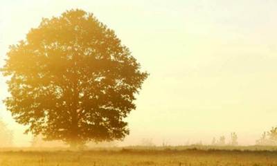 Nowa publikacja poświęcona dawnej Bojkowszczyźnie Zachodniej