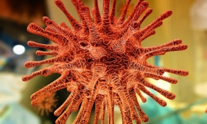 Kolejne przypadki koronawirusa w regionie. Trzy osoby z powiatu leskiego