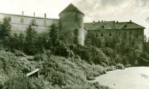 W cieniu krużgank&oacute;w. Kilka wiek&oacute;w leskiego zamku