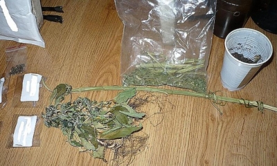 Policjanci znaleźli narkotyki w domu 17-latka z Zag&oacute;rza